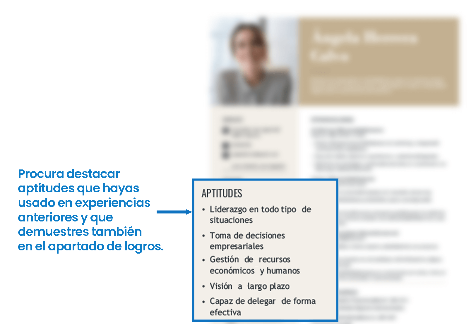 FR CURRICULUM HABILIDADES DE LIDERAZGO