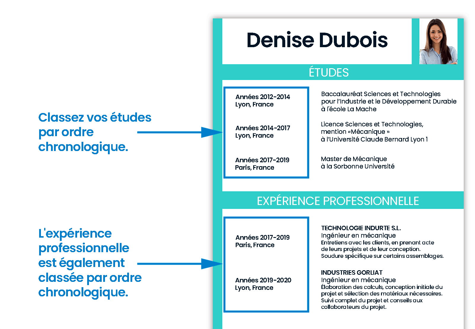 image CURRICULUM CHRONOLOGIQUE
